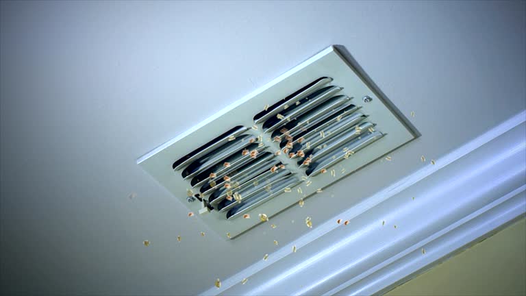 Best Air Duct Cleaning Company Near Me  in Grantsville, UT